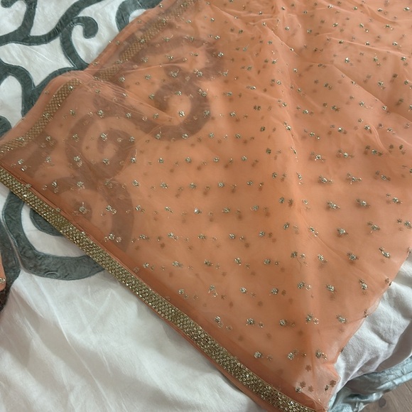 CUSTOM INDIAN PEACH LEHENGA SET - Picture 12 of 14